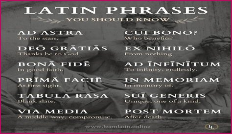 A Profile Of A Latin Beauty